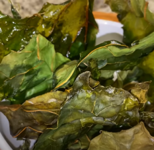 Receitas TL